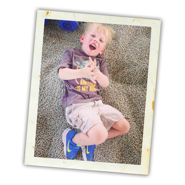 Walters' Fruit Ranch