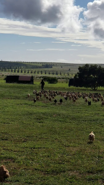Lana'i Grown Farm