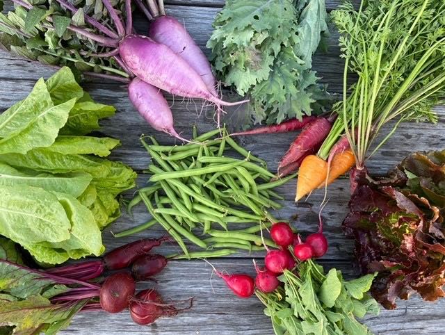 Hope for Suffolk CSA/Farm Share