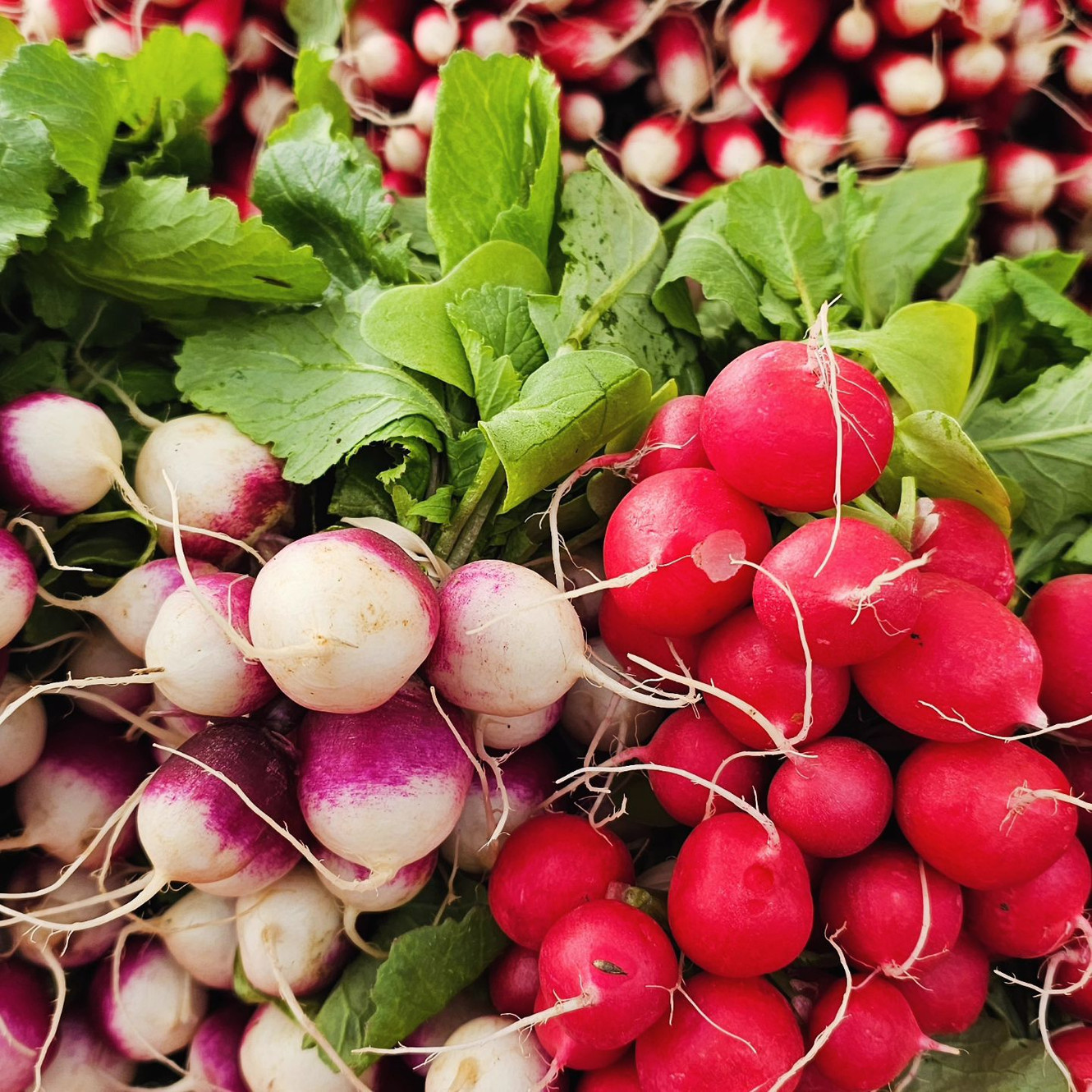 Leesburg Farmers' Market