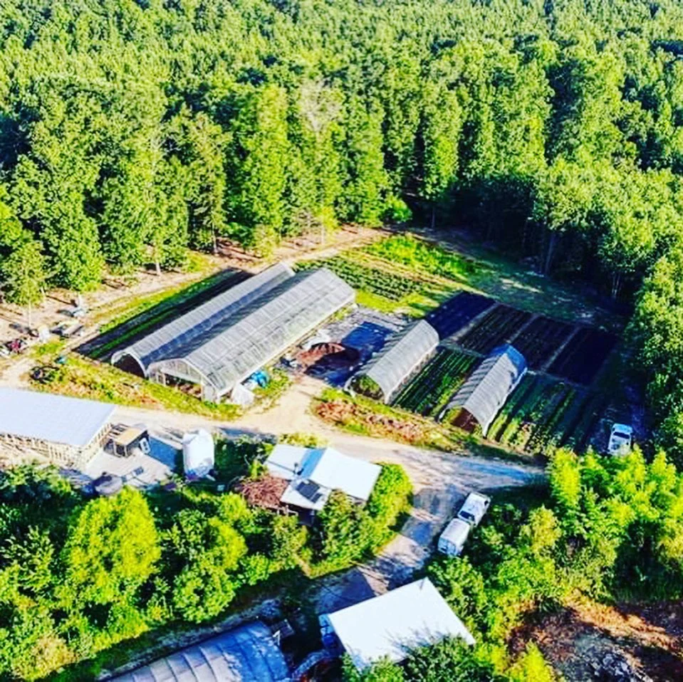Pig & Leaf Farm photo 9