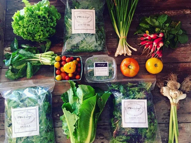 Pig & Leaf Farm photo 12