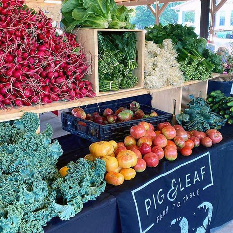 Pig & Leaf Farm photo 10