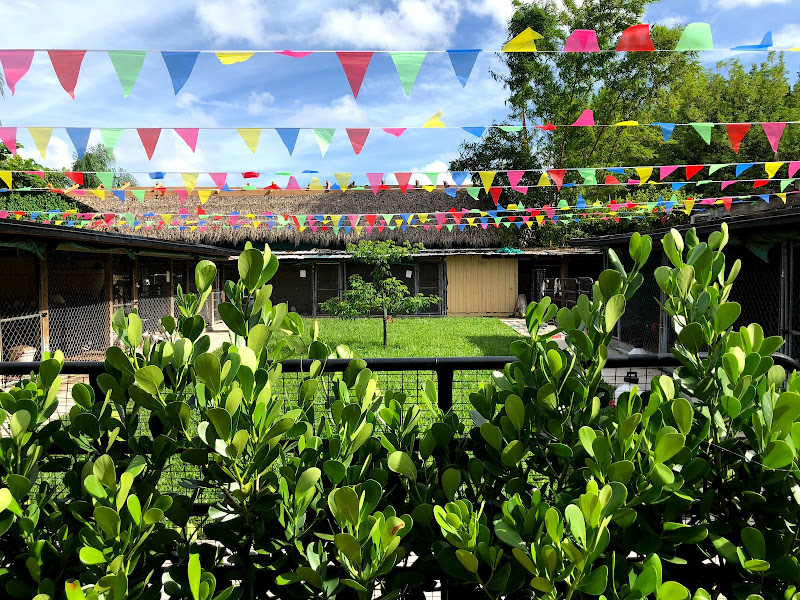 Iroko Commercial Farms