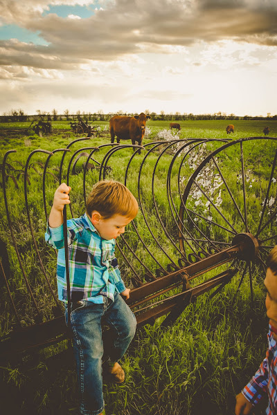 Bachman Family Farms