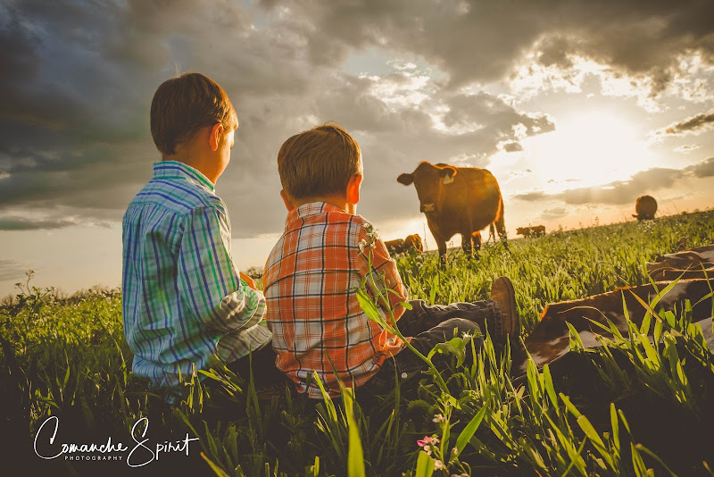 Bachman Family Farms photo 2