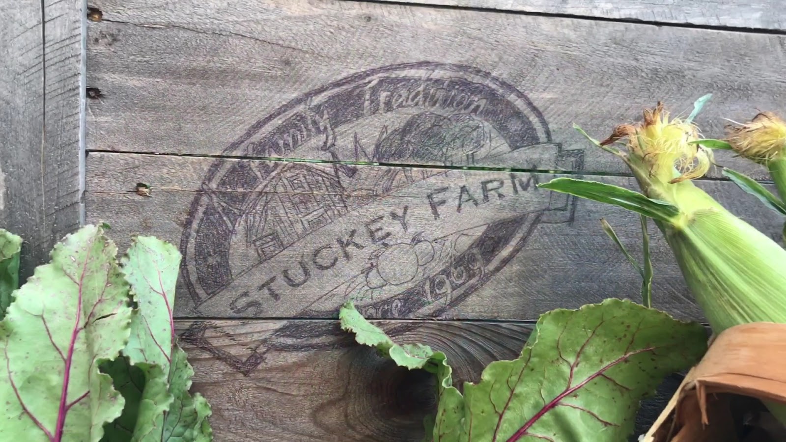 Stuckey Farm Orchard and Cider Mill photo 3