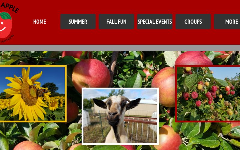 Afton Apple Orchards