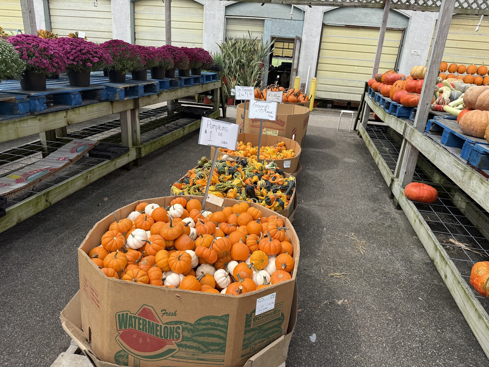 Montgomery State Farmers Market photo 2