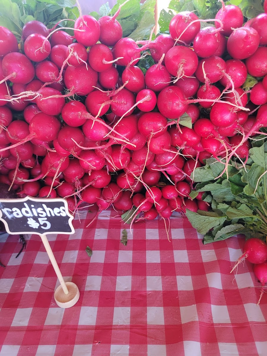 Abingdon Farmers Market photo 5