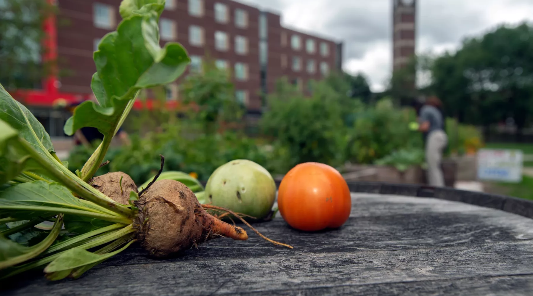 Gray Street Farmers Market