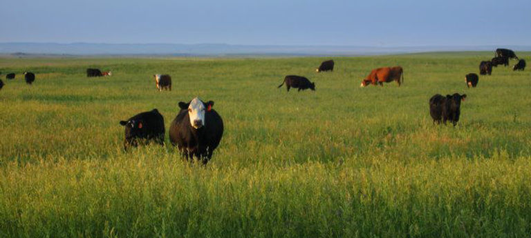 Meadow Maid Foods, llc photo 23