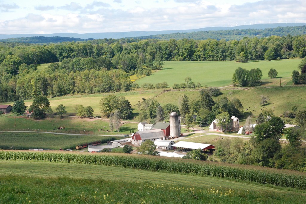 Fertile Valley Farm