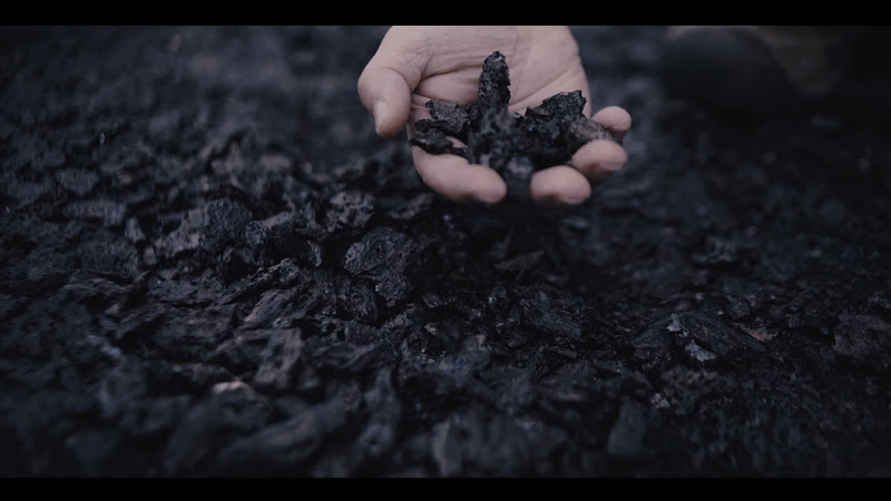 Healing Noni photo 2