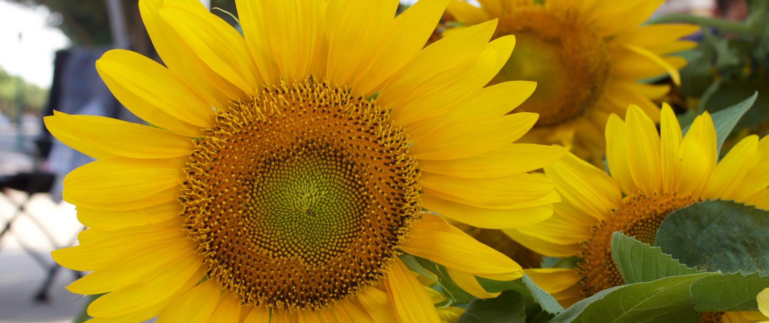 Keller Farmers Market photo 22