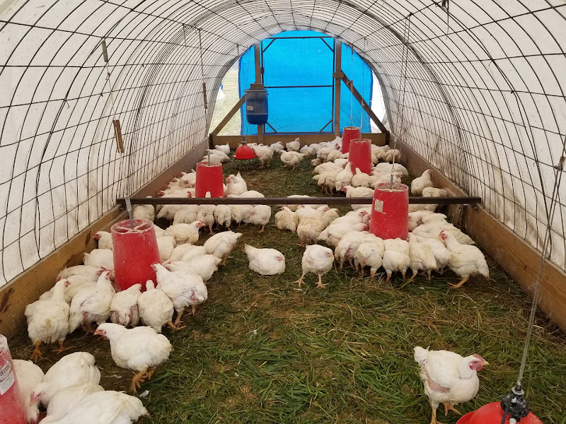 Taylor Family Farm photo 3