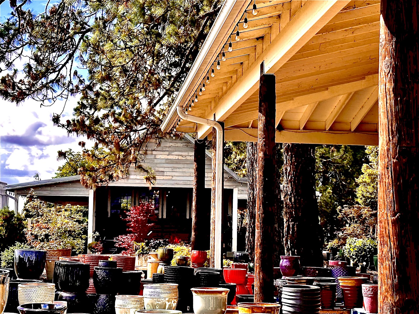 Blooming Junction Garden Center and Farm Market