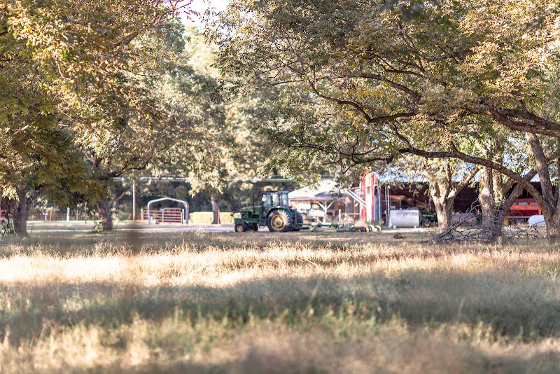 Double P Farm photo 2