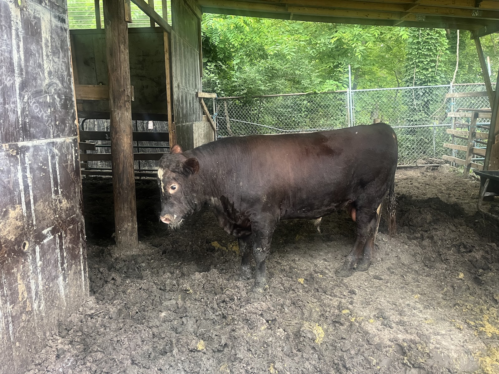 Liberty Feed and Bean Meal LLC