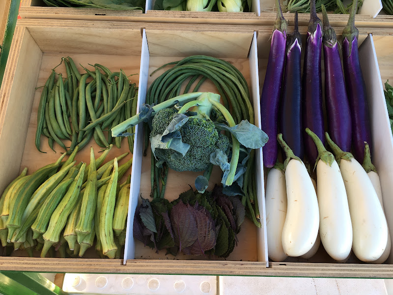 Great Joy Family Farm