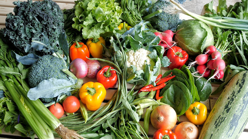 Great Joy Family Farm photo 2