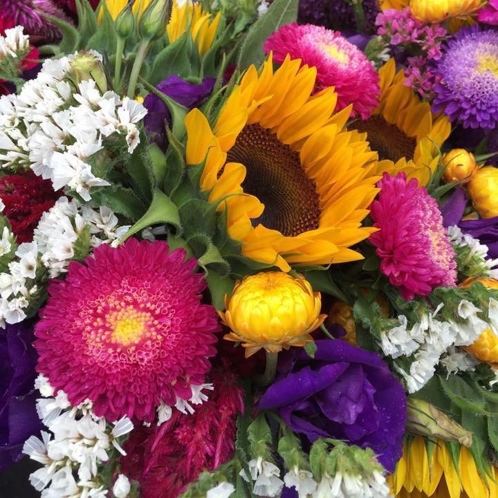 Field Fresh Farmers Market