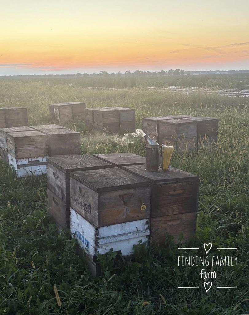 Finding Family Farm
