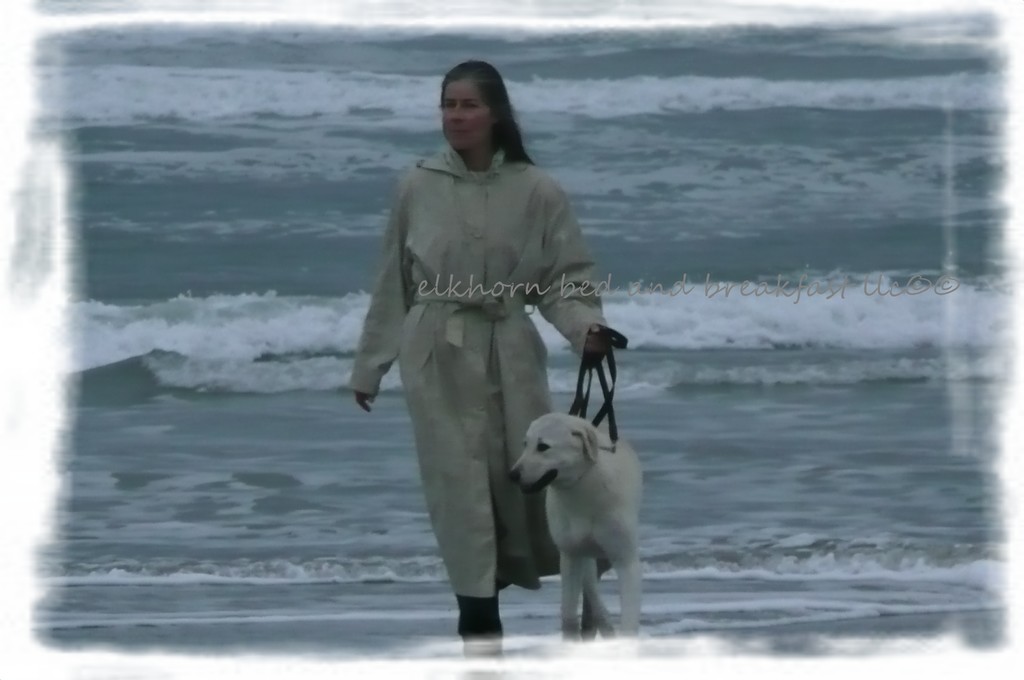 Get Your Goat and Sheep on