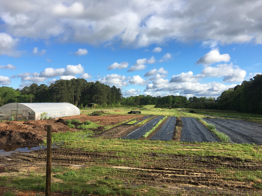 Good Hope Farm