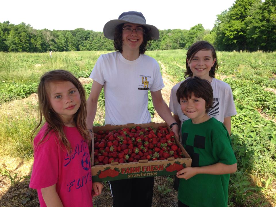 Granny B Farm
