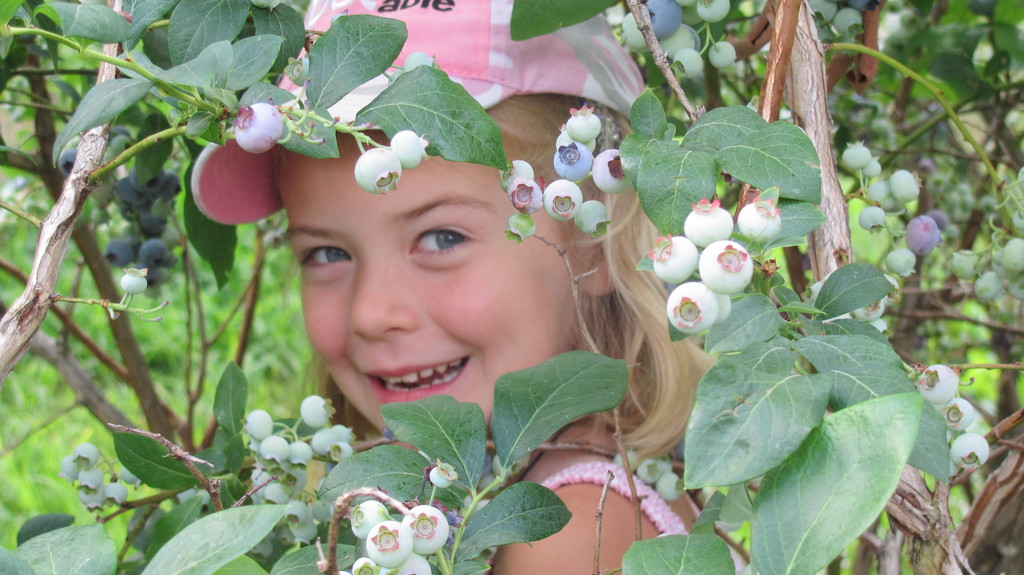 Jameson's High Meadow Farm