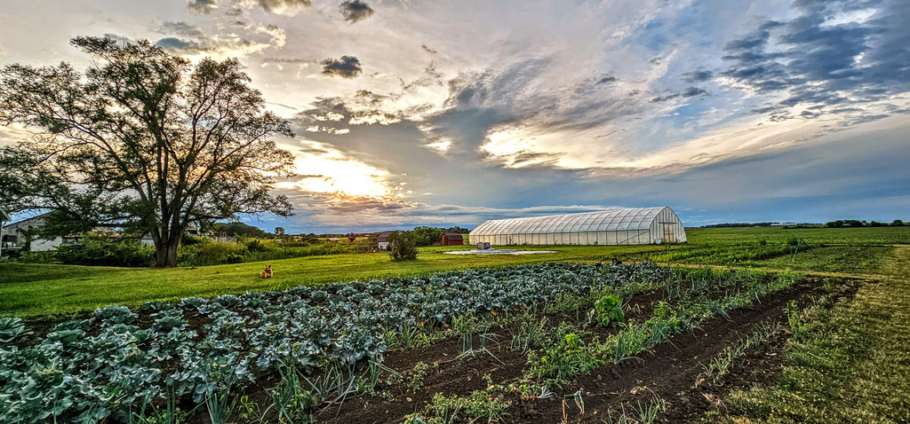 Jericho Run  Farms