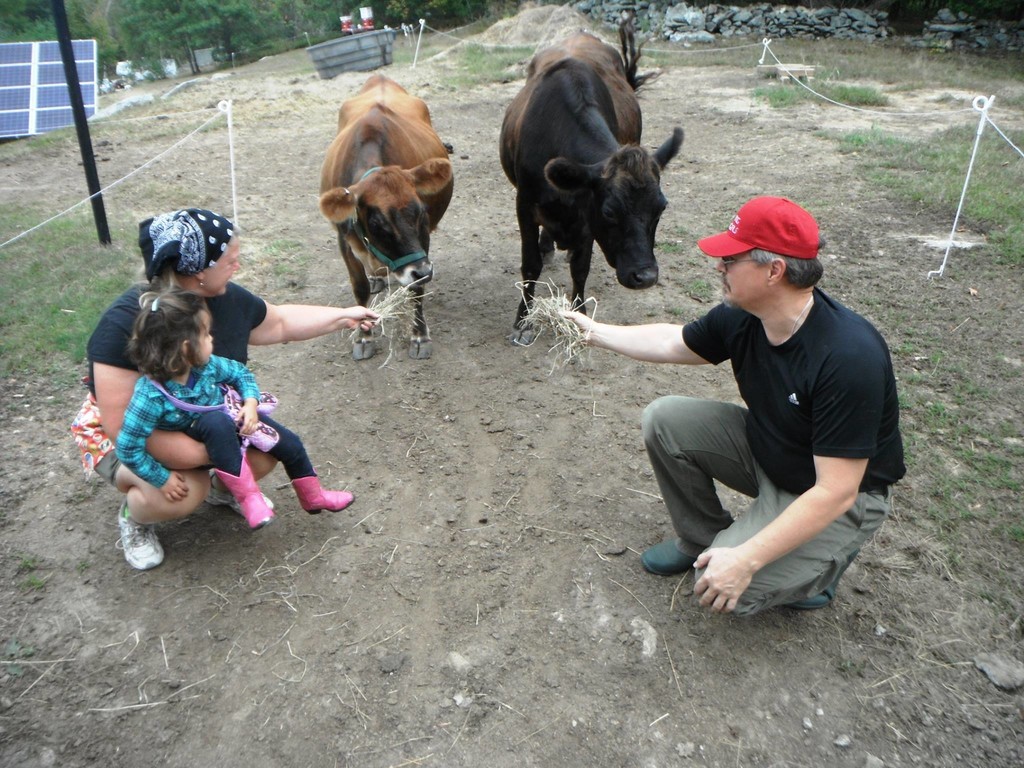 Kelly Homestead Apiary