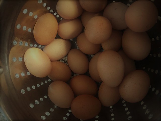 Lockhart General Store