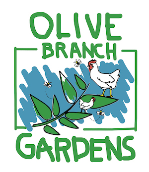 Olive Branch Gardens