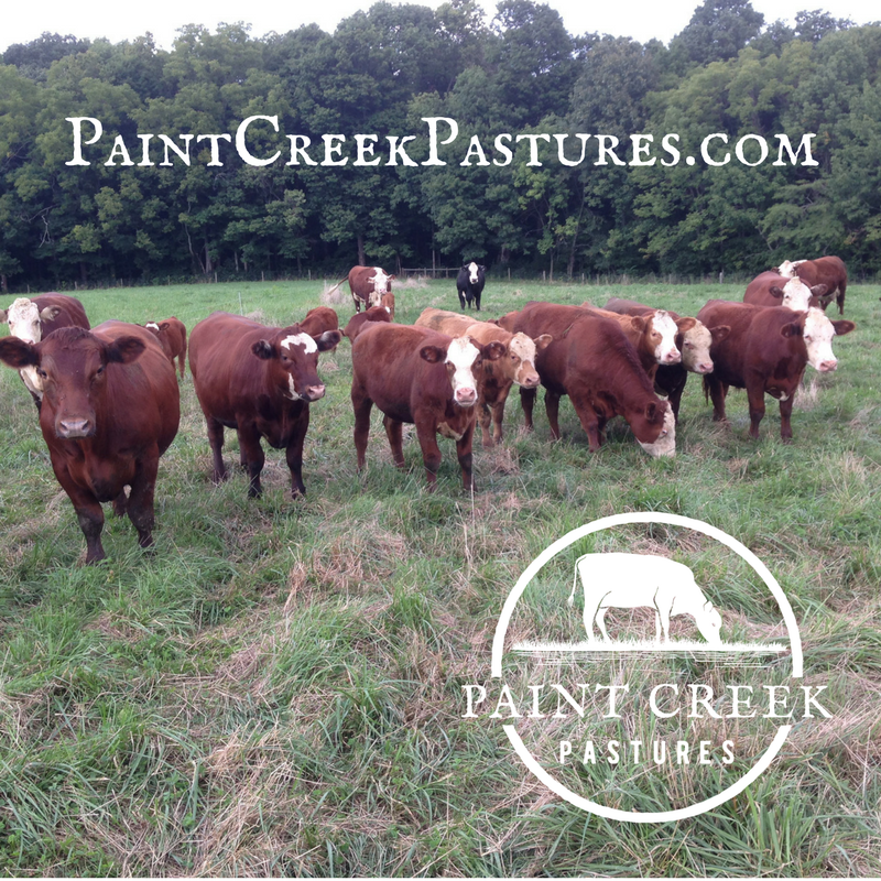 Paint Creek Pastures