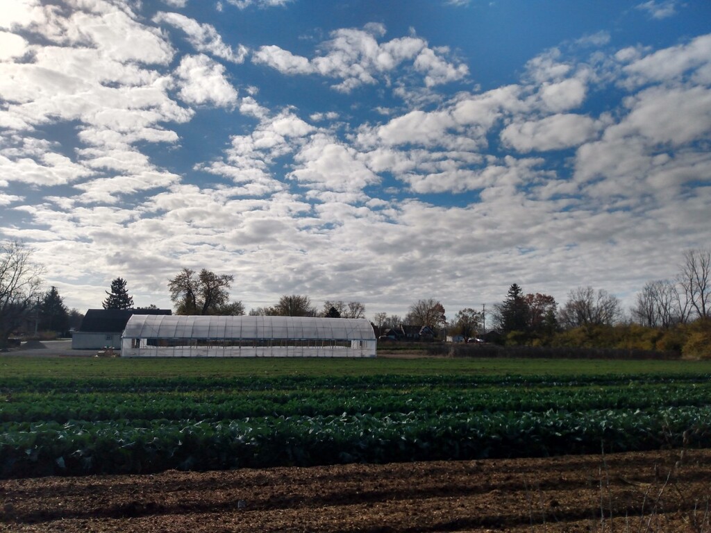 Patchwork Gardens