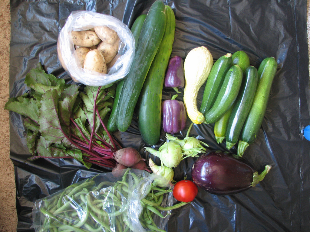 Peace in the Valley Acres