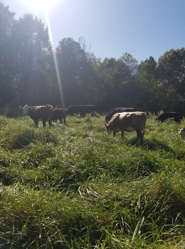 R and B Farms