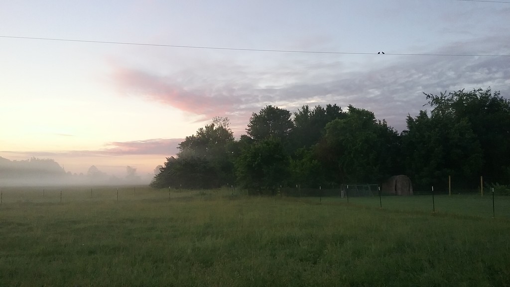 Rambling River Pastured