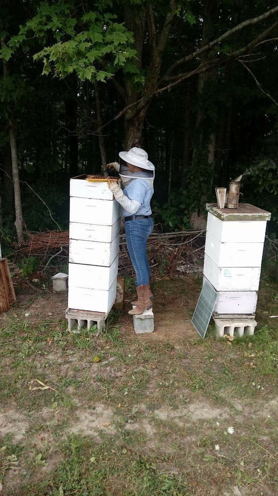 RC's Bees LLC