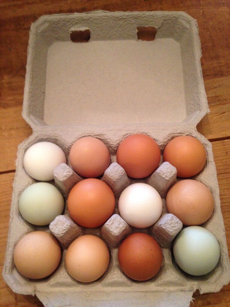 Runner Duck Farm LLC