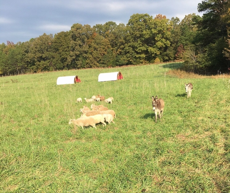 Taste and See Family Farm LLC