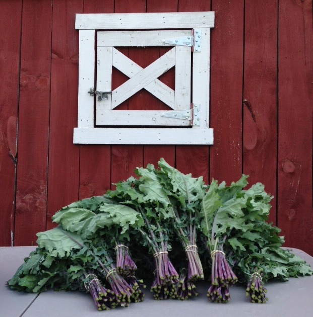 The Kale Yard