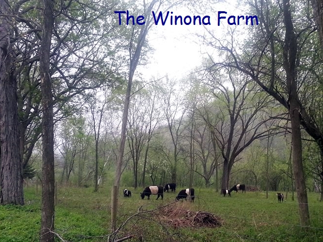 The Winona Farm