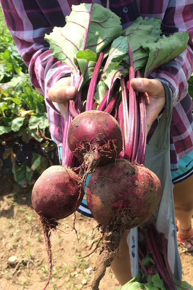 Tranco Farms Garden
