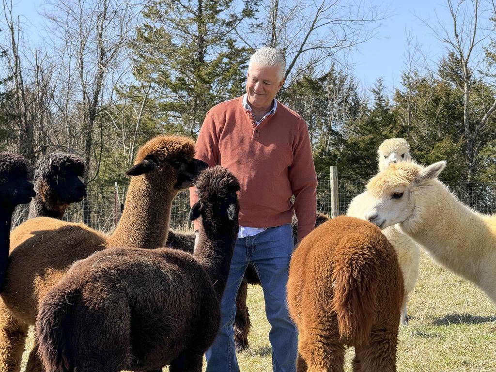 Two Roots Alpacas