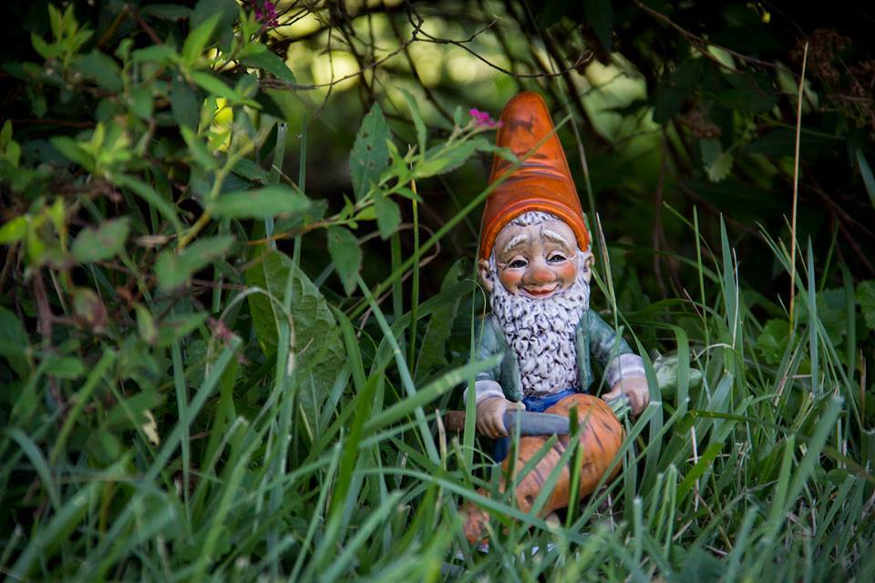 Williamsport Farmers' Market