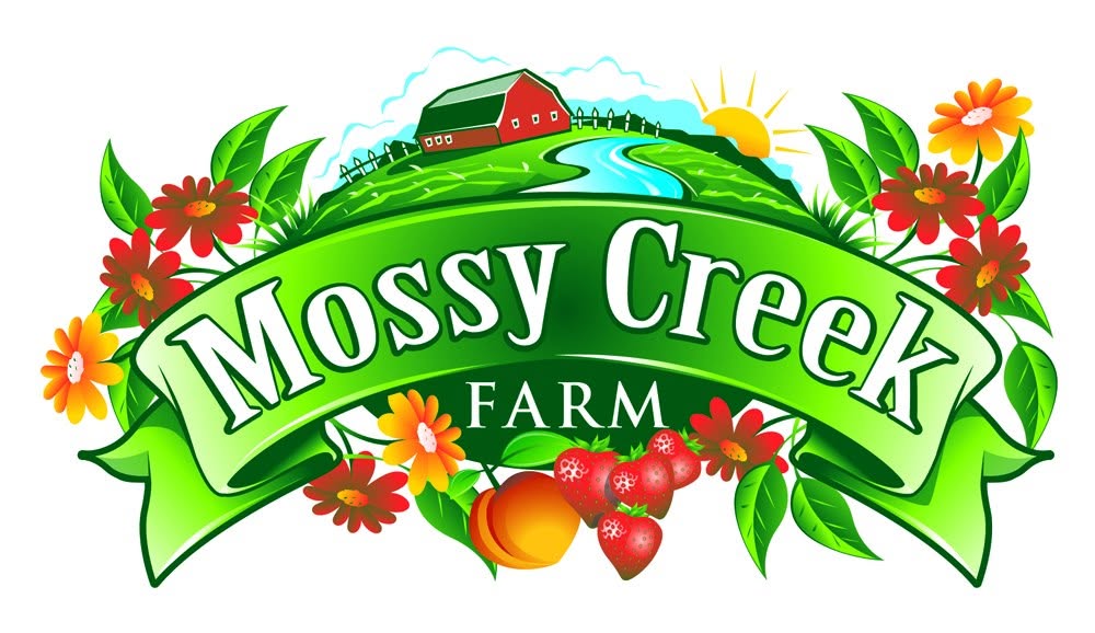 Mossy Creek Farm Cut Flowers