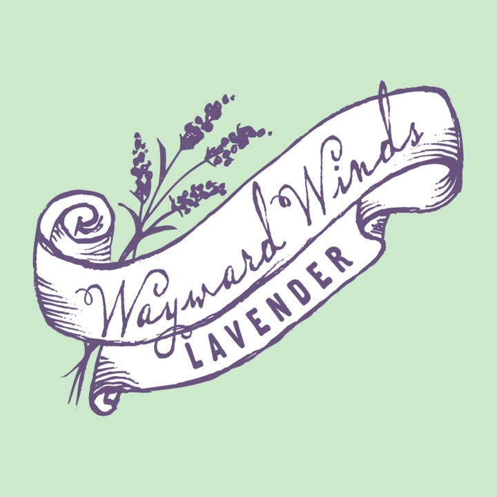 Wayward Winds Lavender Farm